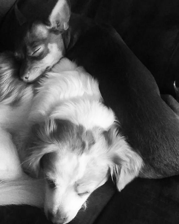 26166667_10204305071903900_6791613375731884582_n